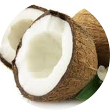 coconut-002